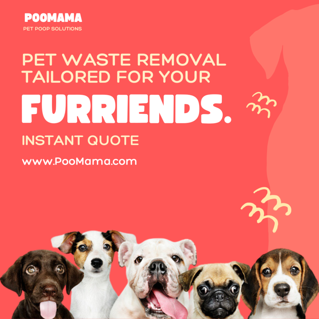 Online tool providing instant quotes for professional dog waste removal, featuring a pet-friendly yard